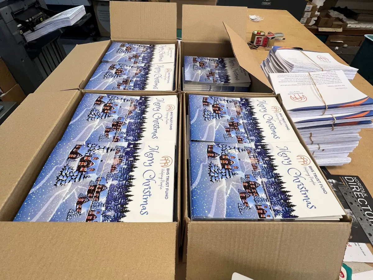 Soanes Signs of Norwich Ltd - BHS Trust Fund Christmas Cards & Newsletters - Post visual